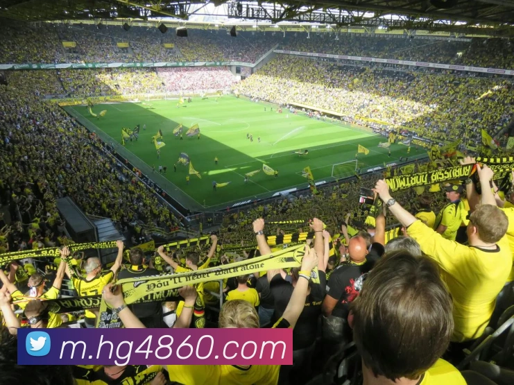 赛事专题整合